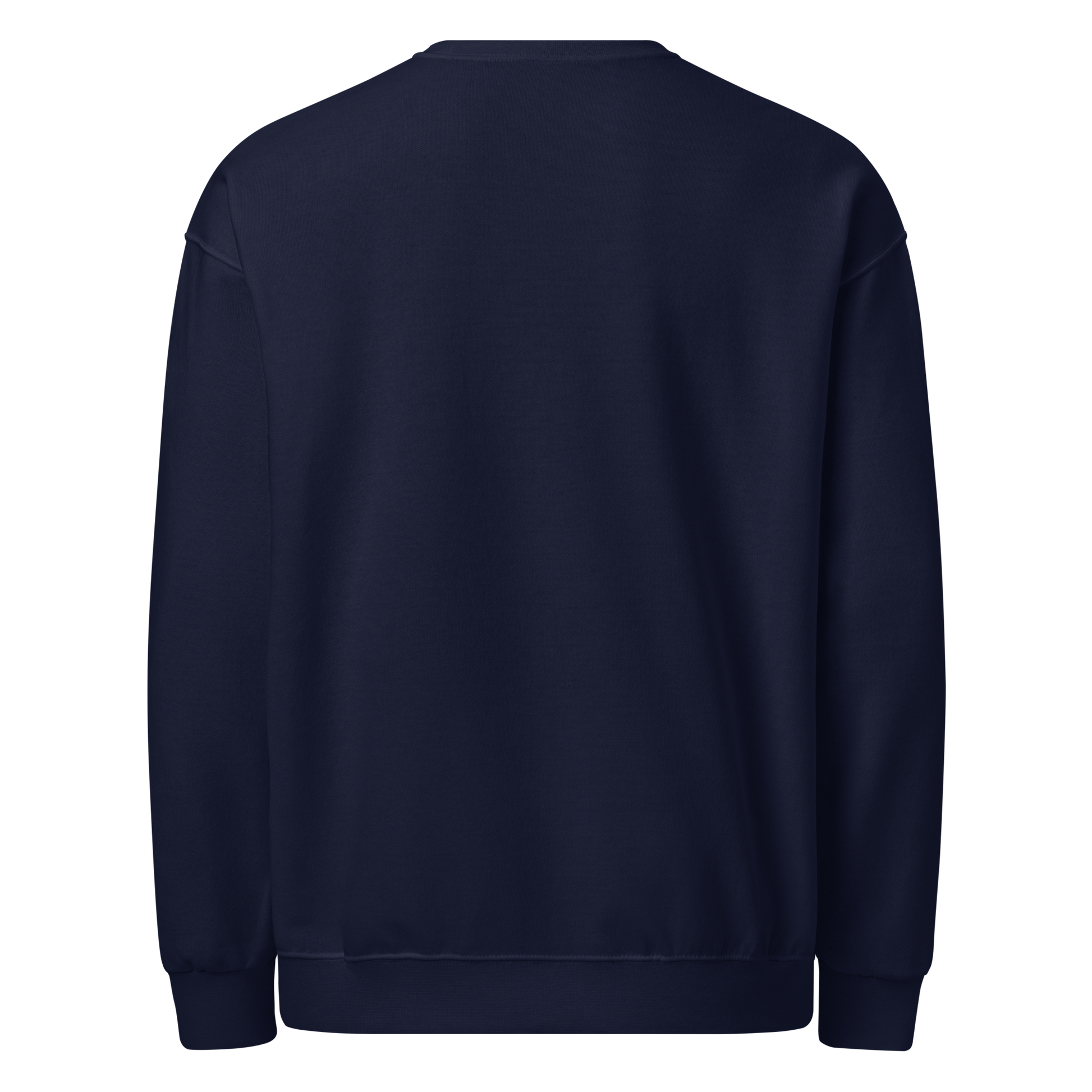 Cotton-blend crewneck sweatshirt navy back — Fog & Foundry