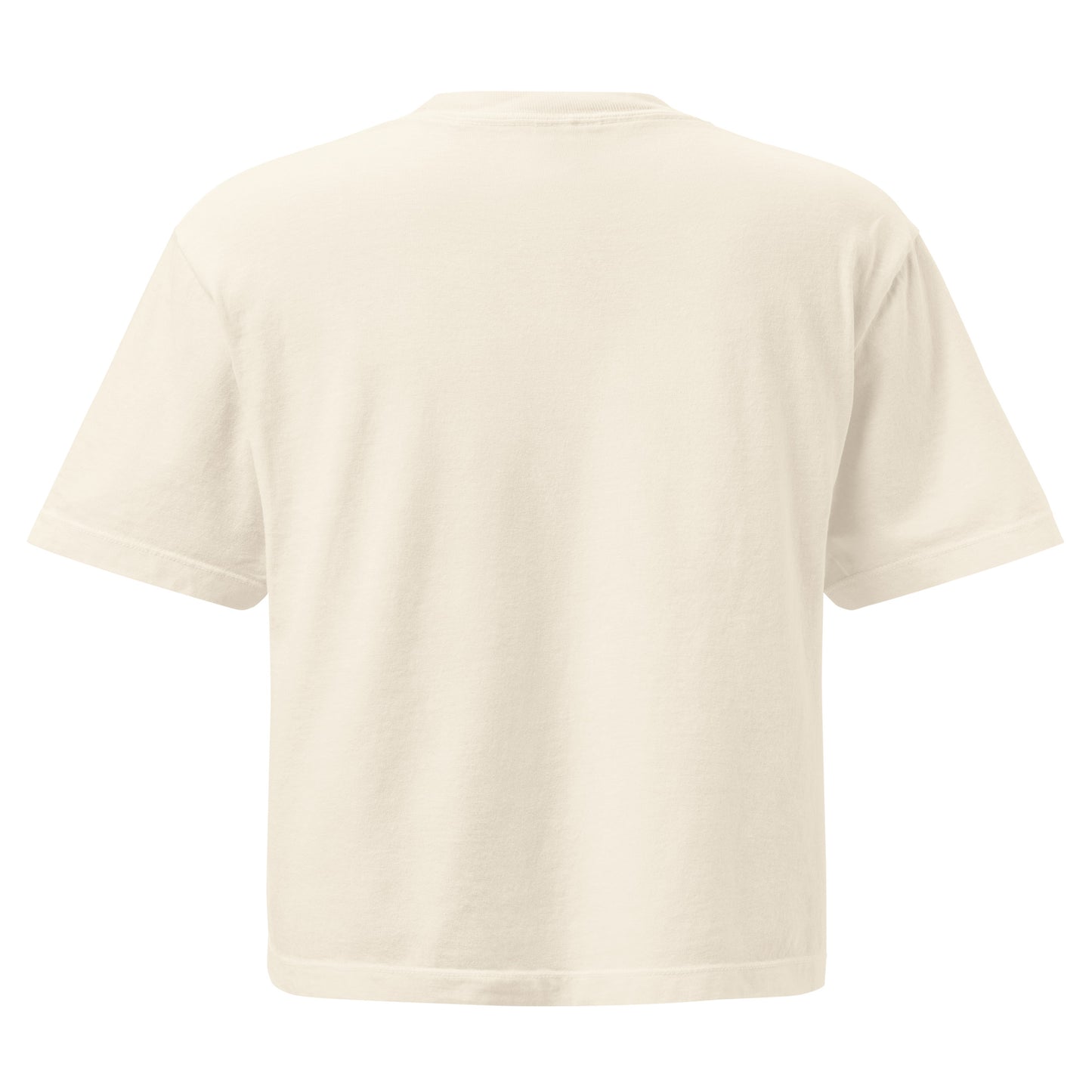 Boxy mid-length tee ivory back view 2 — Fog & Foundry